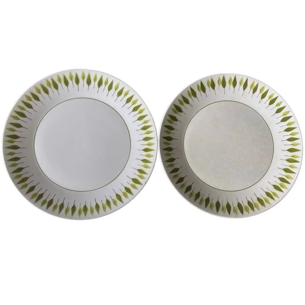 2 Micasa Cera-Stone 3038-M Verde 10 1/4” Dinner Plates Japan *Read*
